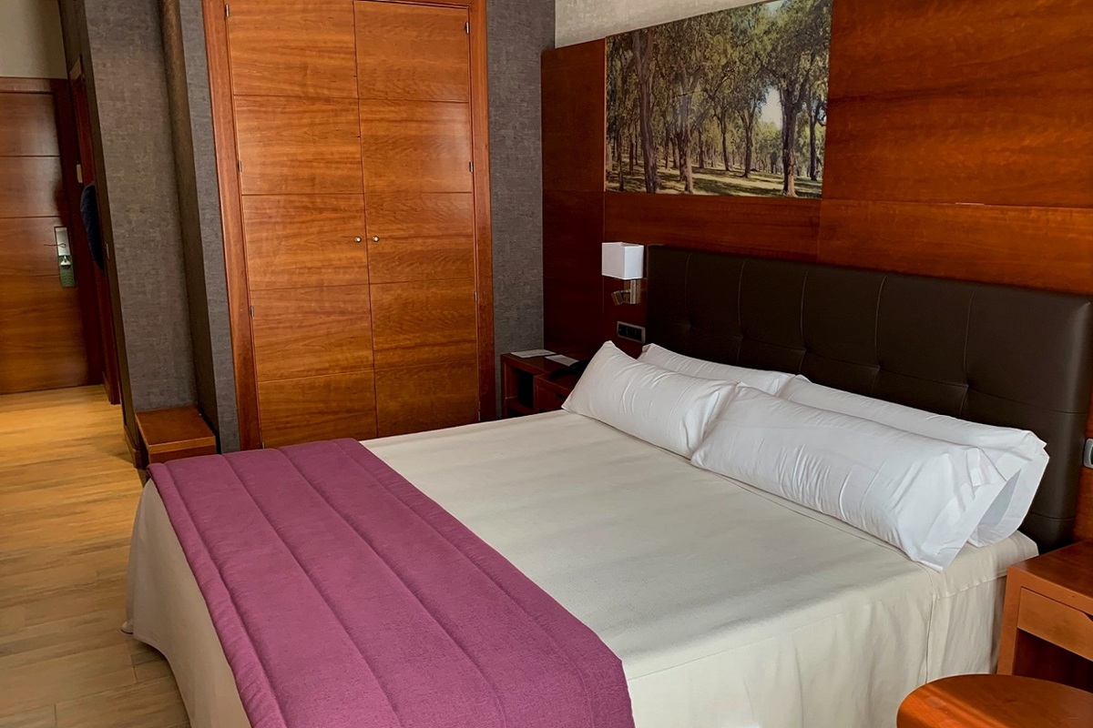 Doble Superior - Hotel Balneario Valle del Jerte